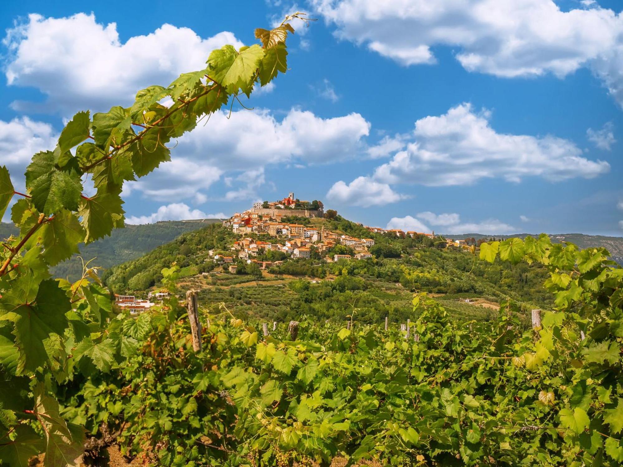 Holiday Home Poje - Mvn251 By Interhome Motovun Dış mekan fotoğraf